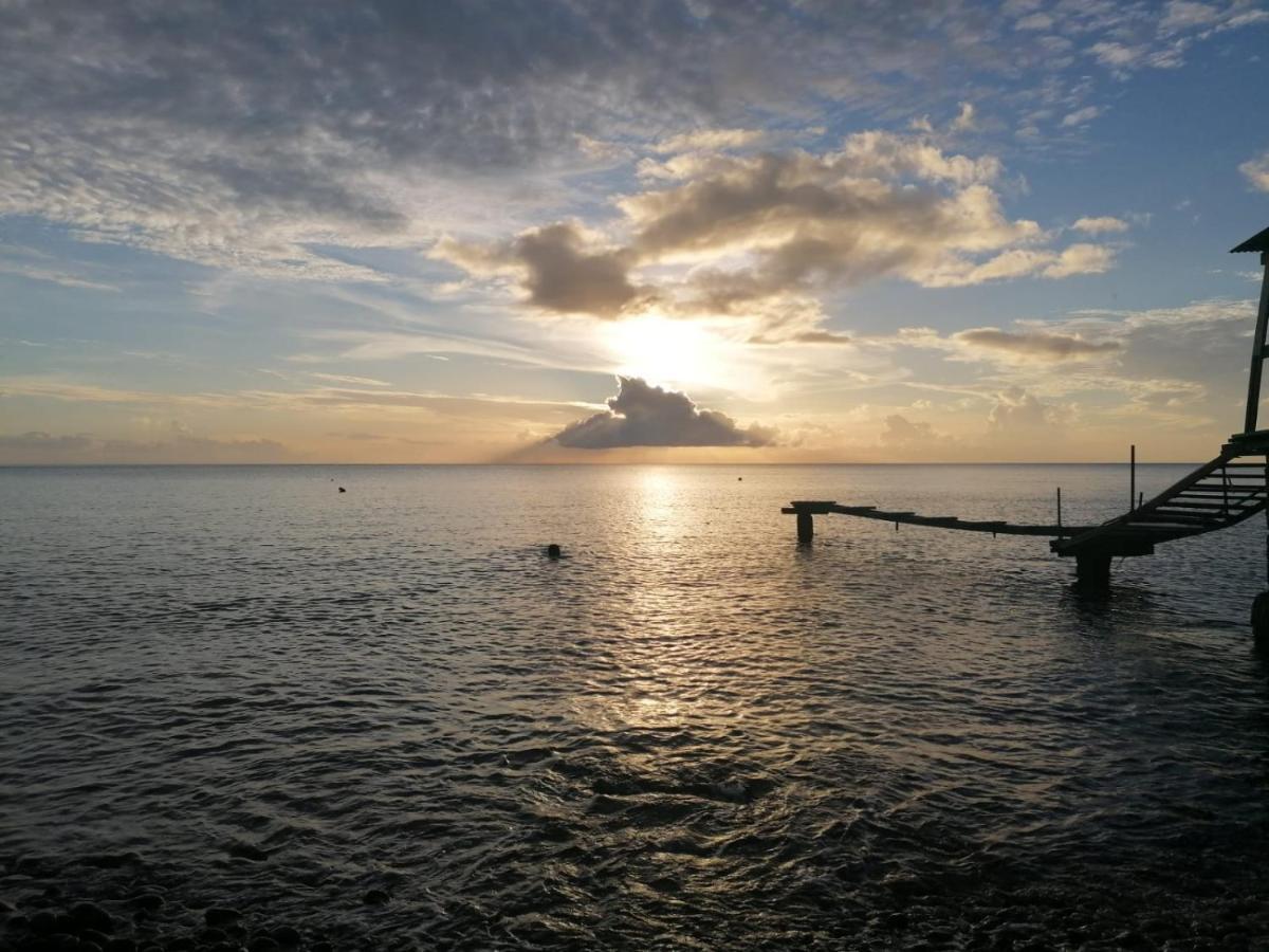 Sea World Vacation Home Roseau Bagian luar foto